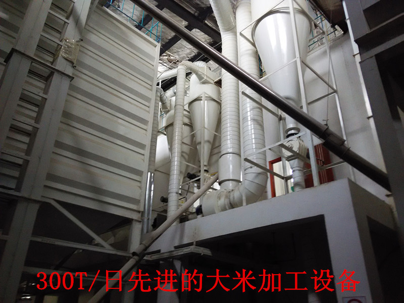 300T日先進的大米加工設(shè)備