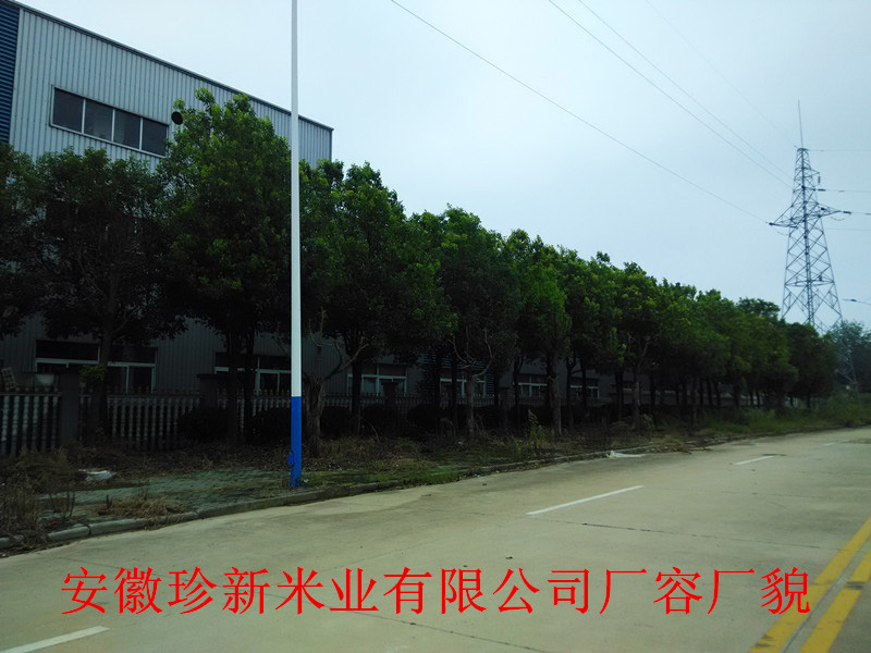 廠容廠貌